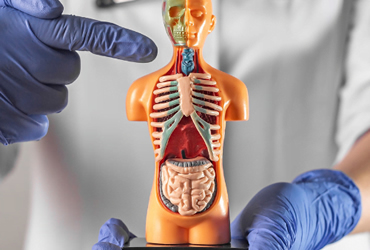cursos escola técnica nutrix