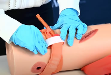 cursos escola técnica nutrix