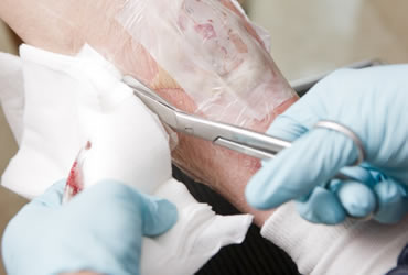 cursos escola técnica nutrix