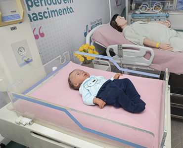 Estrutura da Escola Técnica Nutrix